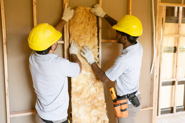 Types of Insulation We Offer in North Myrtle Beach, SC